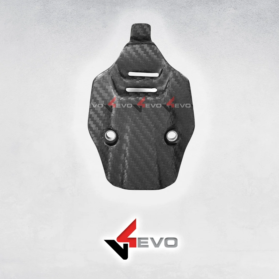 Carbon Fiber License Plate Block Off - Panigale V4-v2 / Streetfighter V2