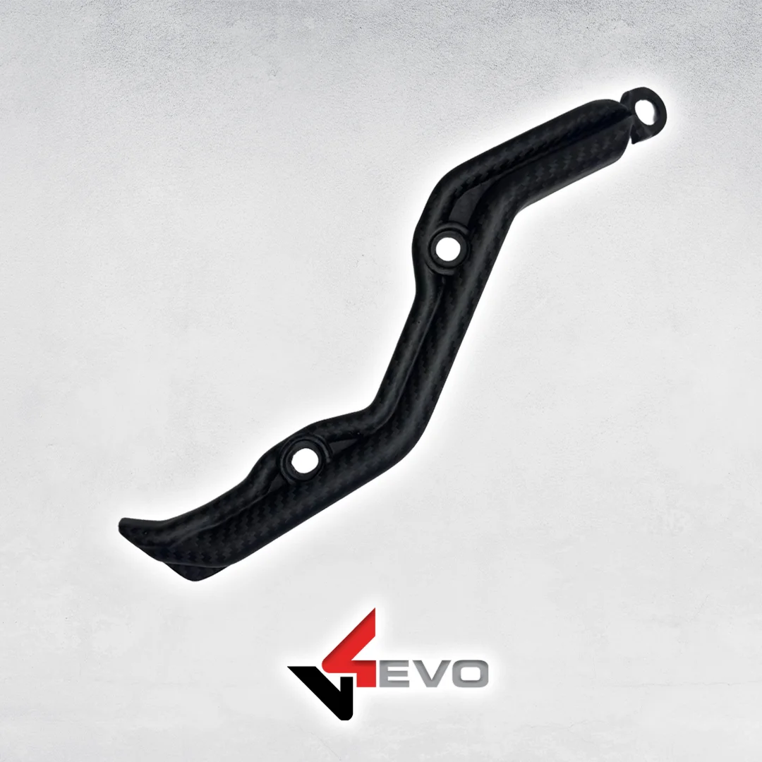 Carbon Fiber Swing Arm Brake Lines Guard - Panigale V2-1199/1299