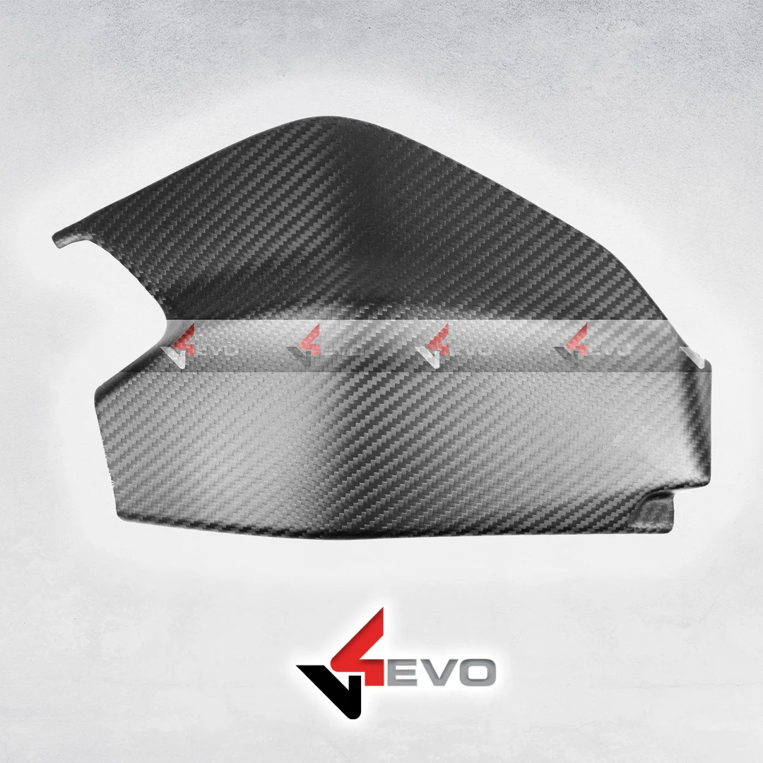 Carbon Fiber Swing Arm Cover - Panigale V2 / Streetfighter V2-1199/1299