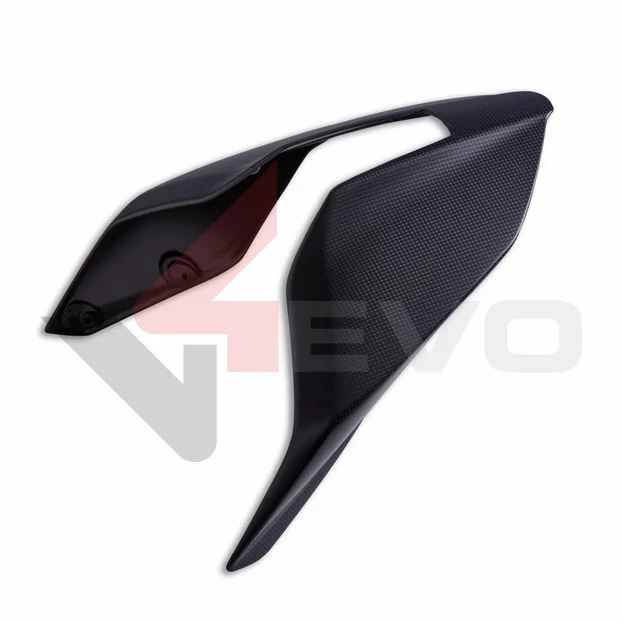 Carbon Single-seater Tail Guard - 96981941aa