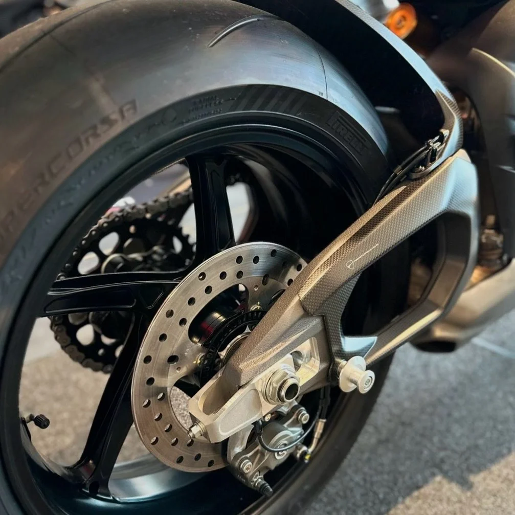 Carbon Swingarm Guard - Panigale V4 / V4s My25